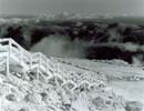 117G: Stairs to Lower Parking Lot, in Rime Ice