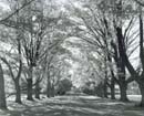 Autumn, Littles Lane