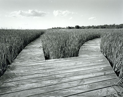 Boardwalk, Parker River National Wildlife Sanctuary, Plum Island, MA