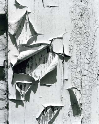 Peeling Paint, Wentworth Coolidge Mansion