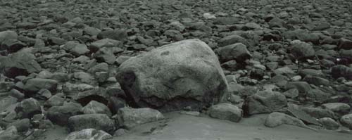 Rocks on Beach, Plum Island