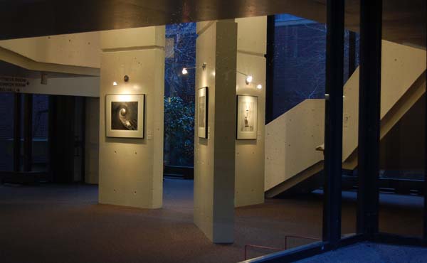 View from outside of gallery